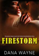 Firestorm by Dana Wayne